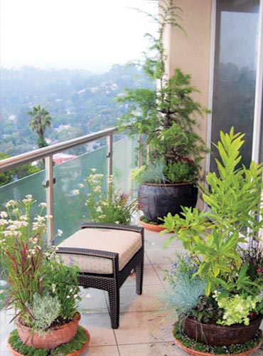 Tommy Williams Design