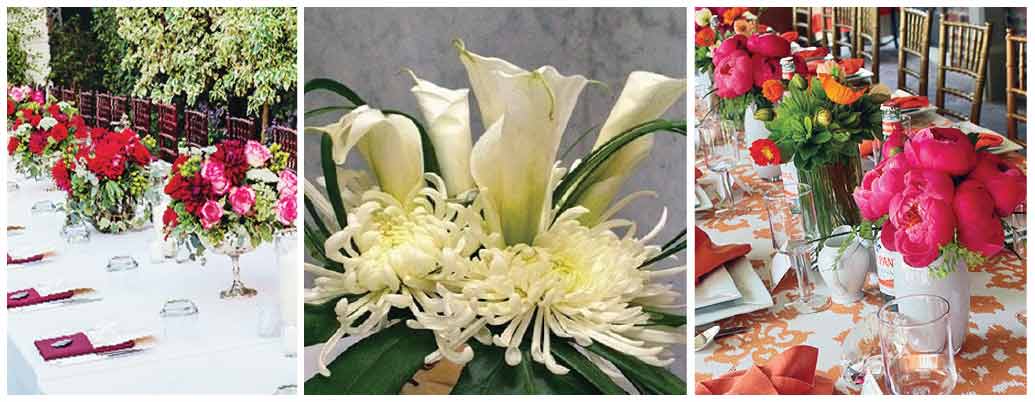 Tommy Williams Design